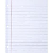 Reinforced Filler Paper, Wide Rule, 11"x8-1/2", 100/PK, WE
