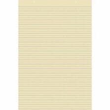Ruled Tagboard Sheets, Ruled 1-1/2", 100Shts/PK, Manila