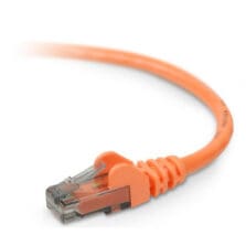 75.13 ft Category 6 Network Cable - First End: 1 x RJ-45 - Male - Second End: 1 x RJ-45 - Male - Patch Cable - Orange - 1 Each