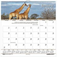 Wall Calendar, Wildlife Scenes, 12-Mth, Jan-Dec, 12"x12"