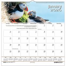 Wall Calendar, Wildlife Scenes, 12-Mth, Jan-Dec, 12"x12"