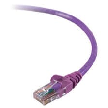 12 ft Category 5e Network Cable - First End: 1 x RJ-45 Network - Male - Second End: 1 x RJ-45 Network - Male - Patch Cable - Purple - 1 Each
