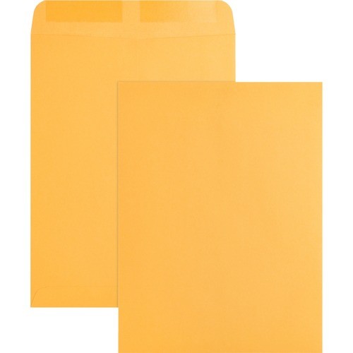 Catalog Envelopes, Plain, 9"x12", 250/BX, Kraft