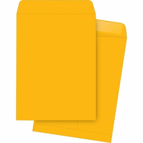 Catalog Envelopes, Plain, 10"x13", 250/BX, Kraft
