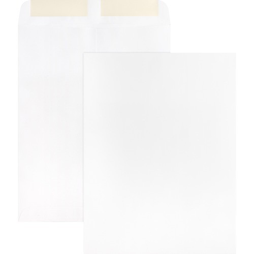 Catalog Envelopes, Plain, 28Lb., 9"x12", 250/BX, WE