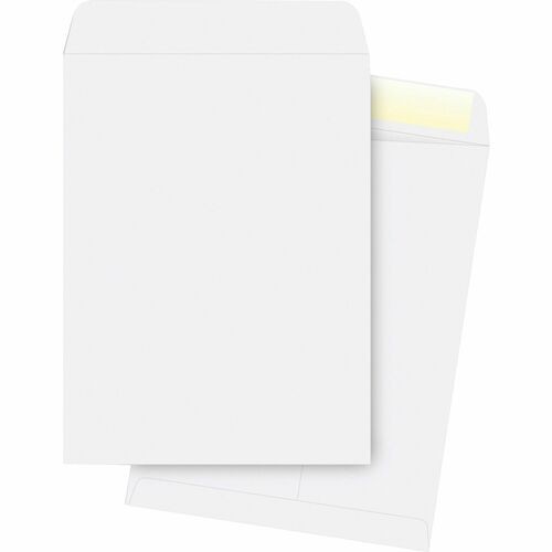 Catalog Envelopes, Plain, 28Lb., 10"x13", 250/BX, WE