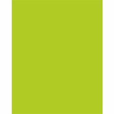 Poster Board, Fade-Resistant, 28"x22", 25/CT, Neon Hot Lime