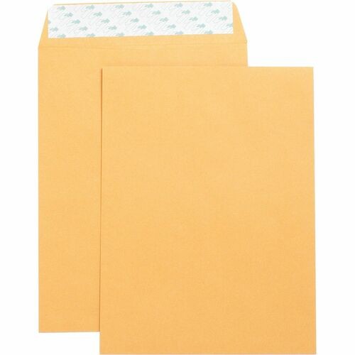 Catalog Envelopes, Self Seal, Plain, 9"x12", 250/BX, Kraft
