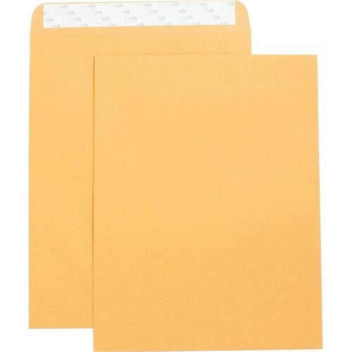 Catalog Envelopes, Self Seal, Plain, 10"x13", 250/BX, Kraft