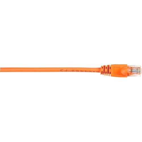 1 ft Category 5e Network Cable for Network Device - First End: 1 x RJ-45 Network - Male - Second End: 1 x RJ-45 Network - Male - 1 Gbit/s - Patch Cable - Gold Plated Contact - CM - 26 AWG - Orange - 1 Each