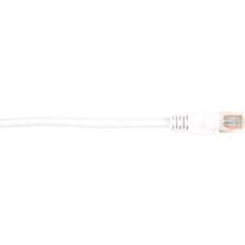 15 ft Category 5e Network Cable for Network Device - First End: 1 x RJ-45 Network - Male - Second End: 1 x RJ-45 Network - Male - 1 Gbit/s - Patch Cable - Gold Plated Contact - CM - 26 AWG - White - 1 Each