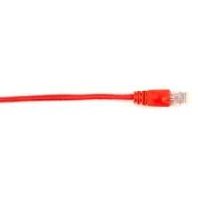 15 ft Category 6 Network Cable for Network Device - First End: 1 x RJ-45 Network - Male - Second End: 1 x RJ-45 Network - Male - 1 Gbit/s - Patch Cable - Gold Plated Contact - CM - 26 AWG - Red - 1 Each