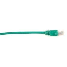 2 ft Category 6 Network Cable for Network Device - First End: 1 x RJ-45 Network - Male - Second End: 1 x RJ-45 Network - Male - 1 Gbit/s - Patch Cable - Gold Plated Contact - CM - 26 AWG - Green - 1 Each
