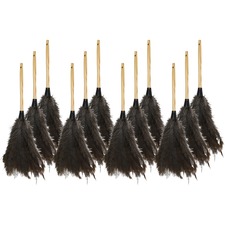Feather Duster, 18", 12/CT, Brown