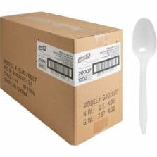 Spoons, Plastic, Medium-Weight, 1000/CT, WE