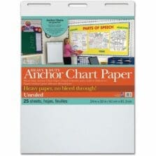 Anchor Chart Paper, Unruled, 24"x32", 25Shts, 4/CT, WE