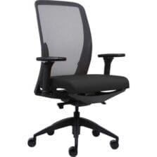 High-back Chair, Mesh Back, Adj Arms, 26-1/2"x25"x47", BK