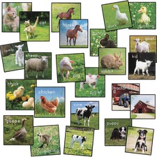 Rug Seating Squares, Barn Animals, 16"Wx16"Lx1/2"H, Multi