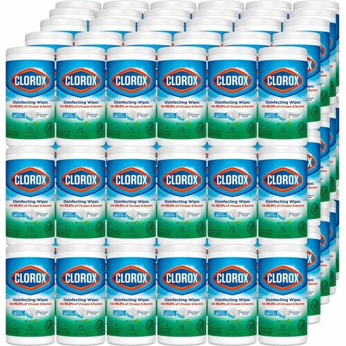 Disinfecting Wipes, Fresh Scent, 75 Wipes/Can, 480/PL, W
