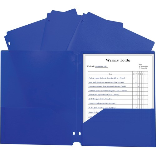 Portfolio, 2-Pocket, 3-Hole, 9-2/5"x11-2/5"x1/10", 25/BX, BE