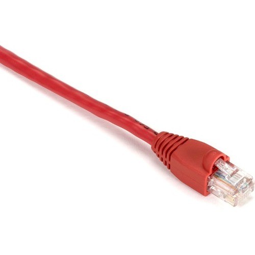 10 ft Category 5e Network Cable for Patch Panel, Wallplate, Network Device - First End: 1 x RJ-45 Network - Male - Second End: 1 x RJ-45 Network - Male - 1 Gbit/s - Patch Cable - Gold Plated Contact - CM - 24 AWG - Red - 1 Each