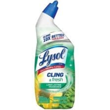 Toilet Bowl Cleaner, Forest Rain, 24oz, 