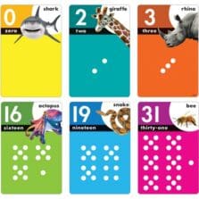 Display Cards, Numbers, w/Animals, 5-1/4"x8", 32 Cards, Multi