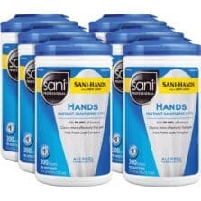 Professional Hand Sanitizing Wipes, 300 Wipes/Tub, 6/CT, WE