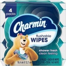 WetWipes, Flushable, Re-SealTop, Portable, 40Wipes/Pouch, 4/PK, BE