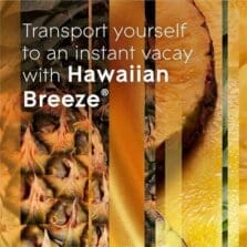 AirFreshener, Refill, f/PlugIn, HawaiianBreeze, 3.35oz, 5/BX, MI