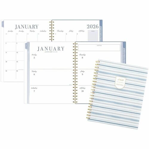 Planner, Ciara Stripe, Wkly/Mthly, 12Mth, Jan-Dec, 8-1/2"x11"
