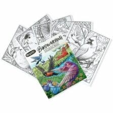 Coloring Book, 40 Pages, Bird-Watching Designs, Perforated, MI