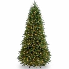 Tree, Jersey Fraser Fir, Clear Lights, 6-1/2', GN