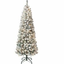 Tree, Acacia, Flocked Branches, Clear Lights, 6', GN