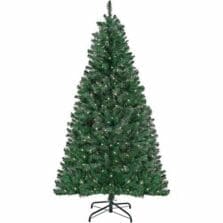 Tree, Acacia, Full-Bodied, Clear Lights, 6', GN