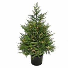 Tree, Cypress, Potted, Clear Lights, 24"x24"x36", GN