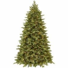 Tree, Princeton Fraser Fir, LED Lights, 7-1/2', GN