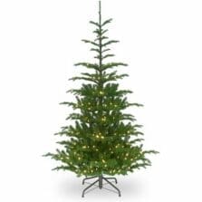 Tree, Norwegian Spruce, Clear Lights, 6-1/2', GN