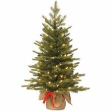Tree, Nordic Spruce, Warm White LEDs, 3', GN