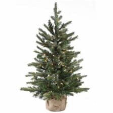 Tree, Nordic Spruce, Clear Lights, 3', GN