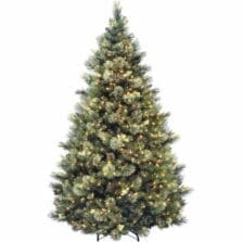 Tree, Carolina Pine, Clear Lights, 7-1/2', GN