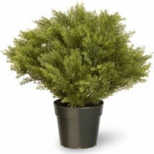 Tree, Juniper, Dark Green Pot, 28"H, GN