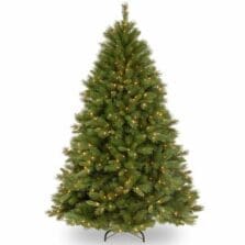 Tree, Winchester Pine, Clear Lights, 6-1/2', GN