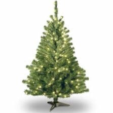 Tree, Kincaid Spurce Tree, Clear Lights, 4', GN