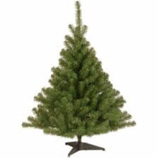 Tree, Kincaid Spurce Tree, 4', GN
