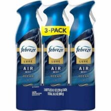 Air Freshener Spray, Natural Propellant, Warm Ocean Breeze Scent, 8.1oz, 4/CT, Blue