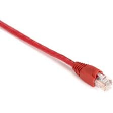 1 ft Category 5e Network Cable for Patch Panel, Wallplate, Network Device - First End: 1 x RJ-45 Network - Male - Second End: 1 x RJ-45 Network - Male - 1 Gbit/s - Patch Cable - Gold Plated Contact - CM - 24 AWG - Red - 1 Each