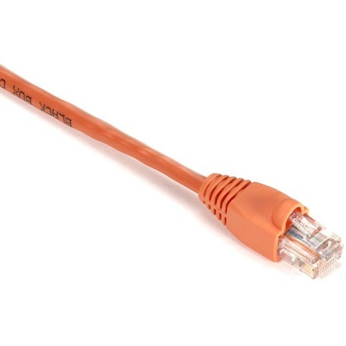 10 ft Category 5e Network Cable for Patch Panel, Wallplate, Network Device - First End: 1 x RJ-45 Network - Male - Second End: 1 x RJ-45 Network - Male - 1 Gbit/s - Patch Cable - Gold Plated Contact - CM - 24 AWG - Orange - 1 Each