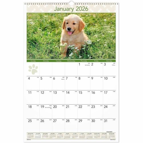 Puppies Monthly Wall Calendar, Puppies Photography, 15.5 x 22.75, White/Multicolor Sheets, 12-Month (Jan to Dec): 2026