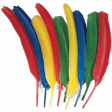 Quill Feathers, 12"L, 24/PK, Blue/Red/Green/Yellow